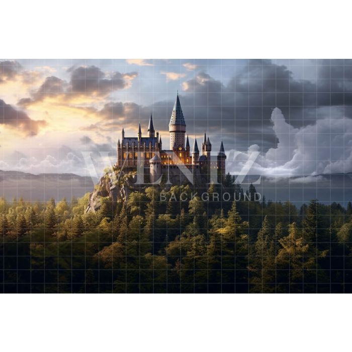 Photography Background in Fabric Wizard's Castle / Backdrop 3487
