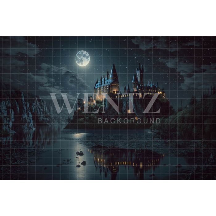 Photography Background in Fabric Wizardry School / Backdrop 3492