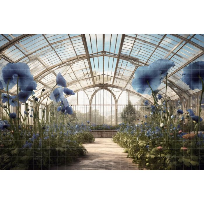Photography Background in Fabric Blue Poppies Greenhouse / Backdrop 3633
