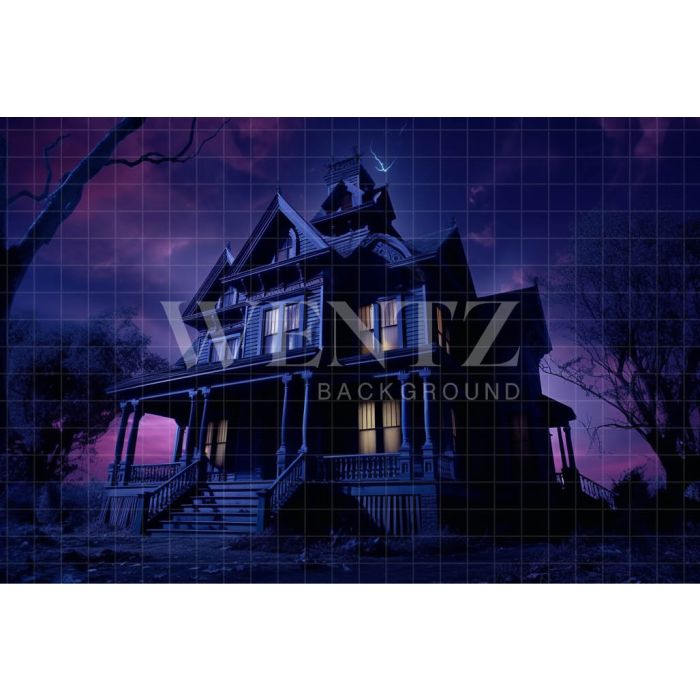 Photography Background in Fabric Haunted Mansion / Backdrop 3688