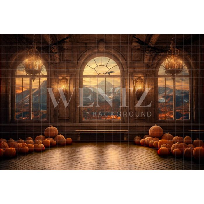 Photography Background in Fabric Haunted Castle's Room / Backdrop 3711