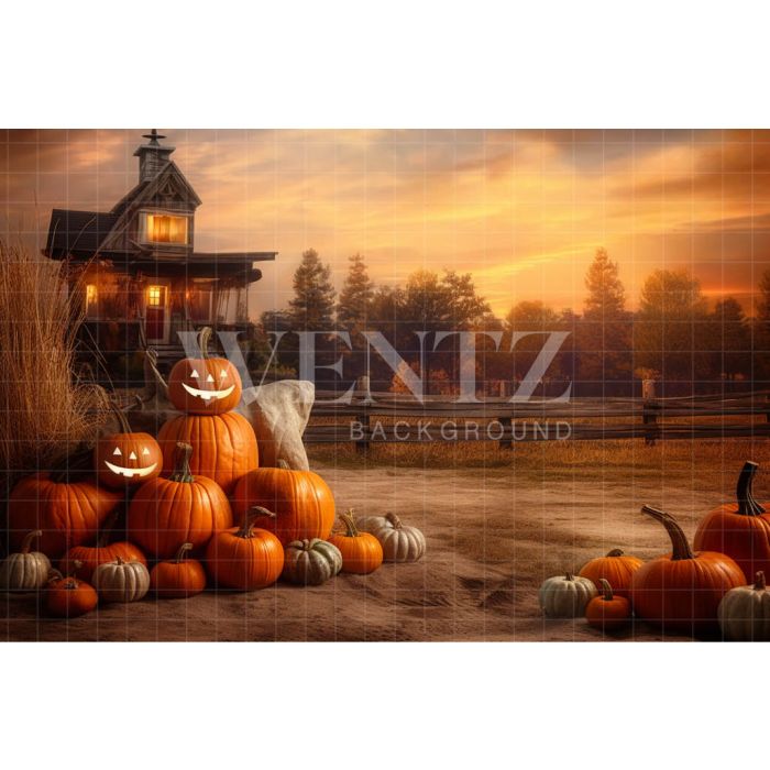 Photography Background in Fabric Pumpkin Harvest / Backdrop 3715