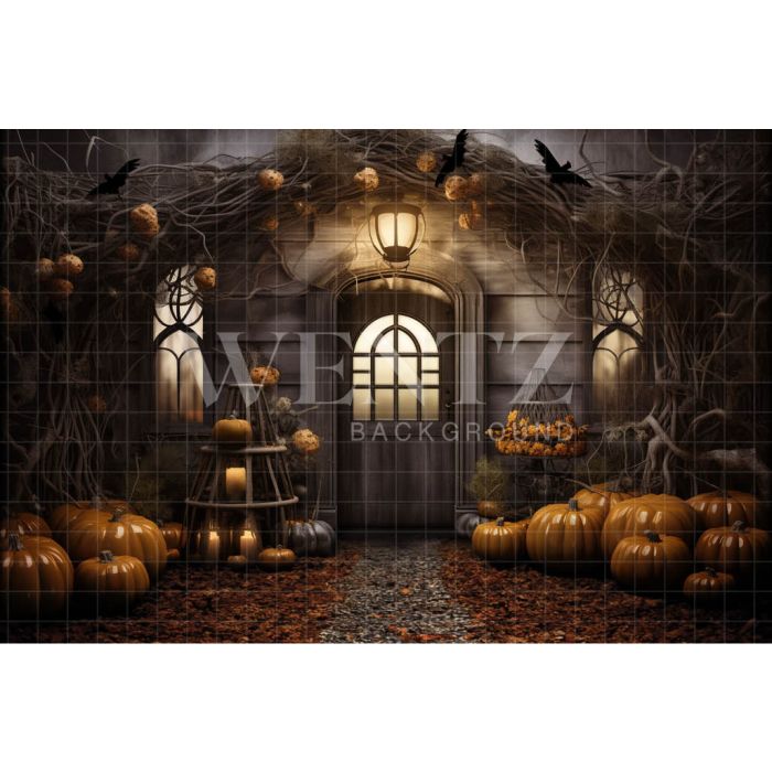 Photography Background in Fabric Halloween Facade / Backdrop 3738