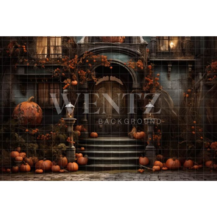 Photography Background in Fabric Halloween Set / Backdrop 3741