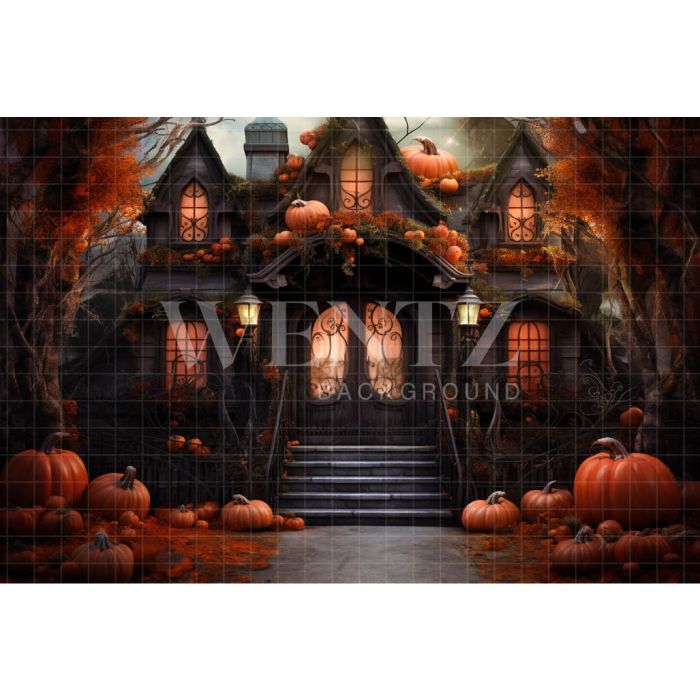 Photography Background in Fabric Witch's House / Backdrop 3755