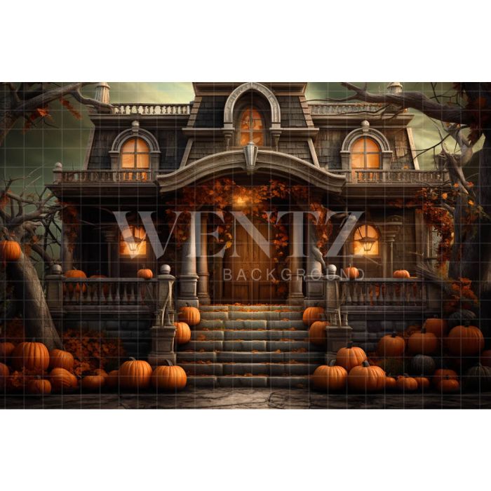 Photography Background in Fabric Haunted House / Backdrop 3756