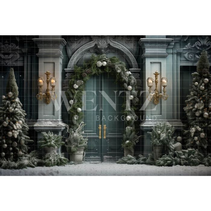 Photography Background in Fabric Christmas Door / Backdrop 4083