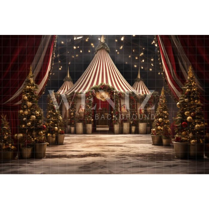 Photography Background in Fabric Christmas Circus / Backdrop 4095