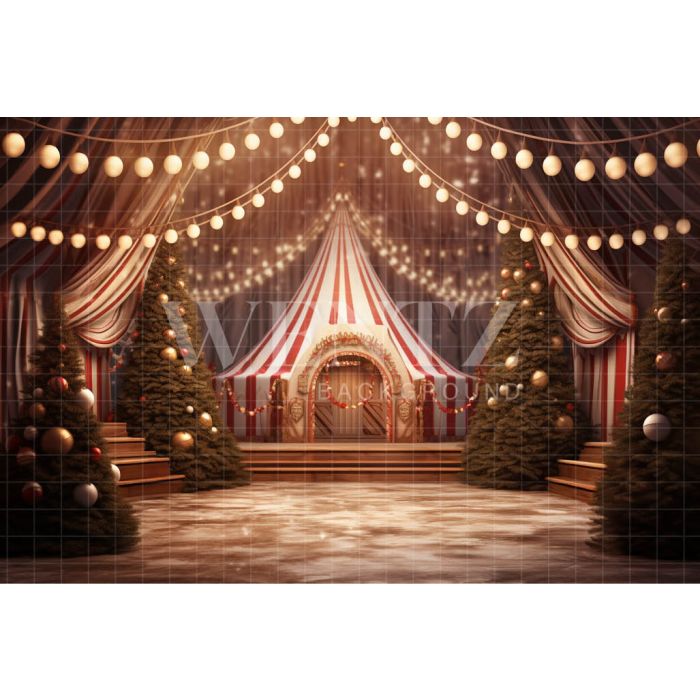 Photography Background in Fabric Circus Tent / Backdrop 4123