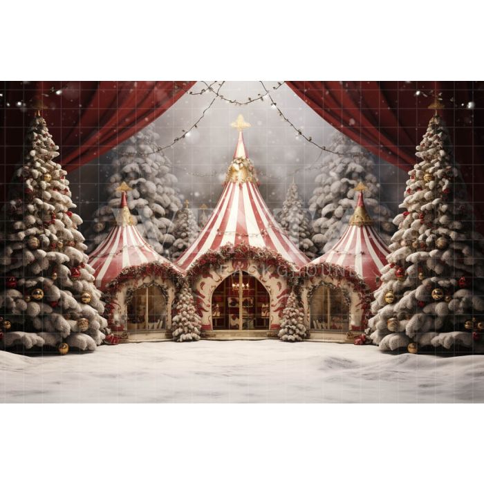 Photography Background in Fabric Circus Tent / Backdrop 4147