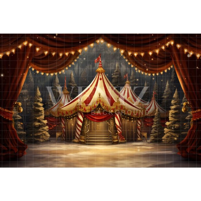 Photography Background in Fabric Circus Tent / Backdrop 4159