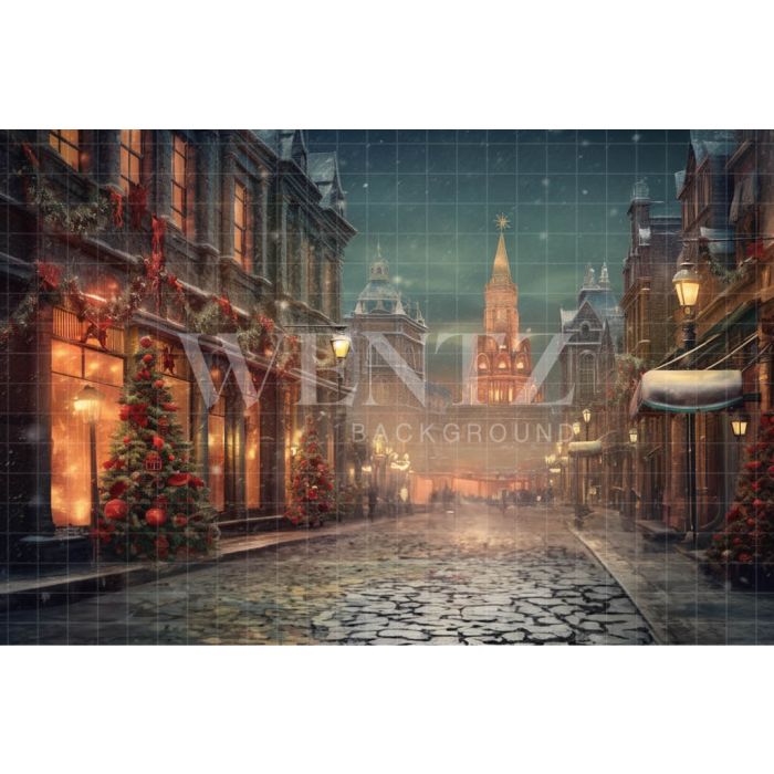 Photography Background in Fabric Christmas Village / Backdrop 4205