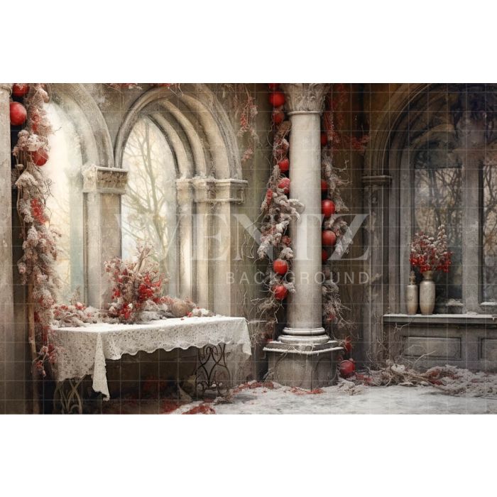 Photography Background in Fabric Christmas Set / Backdrop 4221