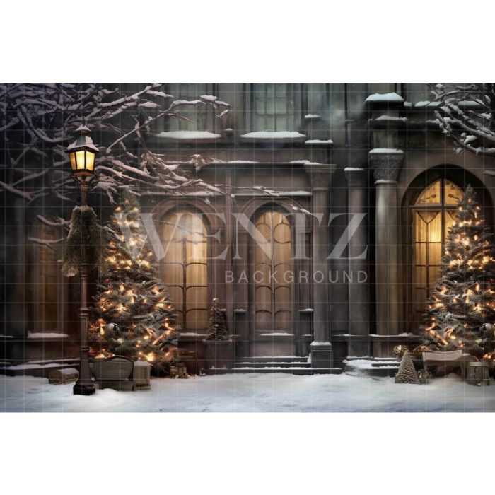 Photography Background in Fabric Christmas Facade / Backdrop 4227