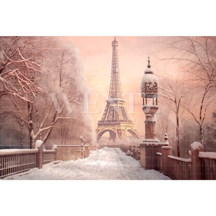Photography Background in Fabric Winter in Paris / Backdrop 4384