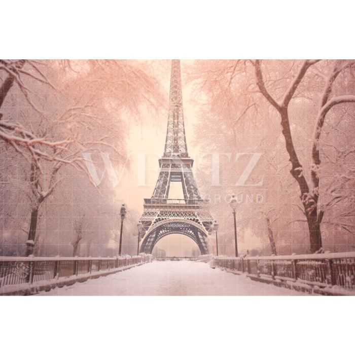  Photography Background in Fabric Winter in Paris / Backdrop 4385