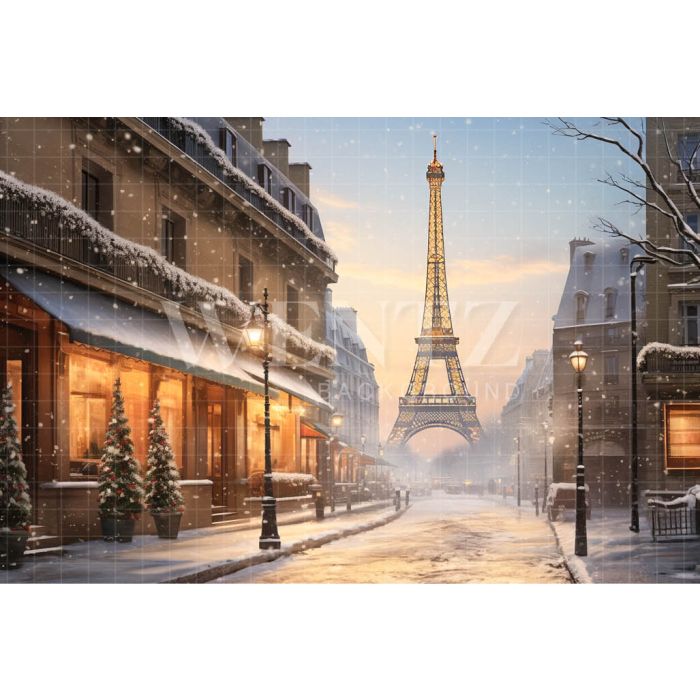 Photography Background in Fabric Winter in Paris / Backdrop 4393