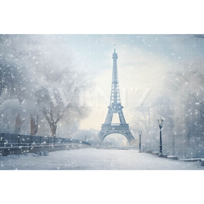 Photography Background in Fabric Winter in Paris / Backdrop 4395