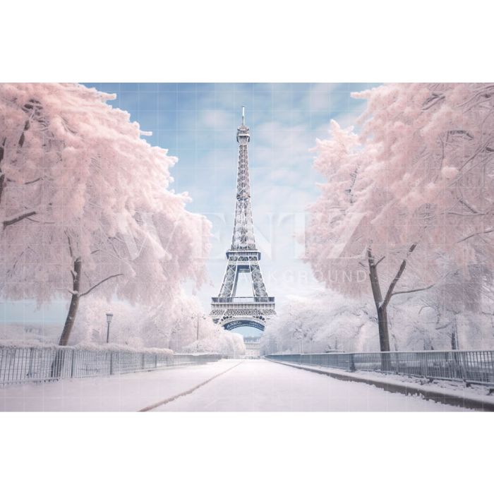 Photography Background in Fabric Winter in Paris / Backdrop 4396