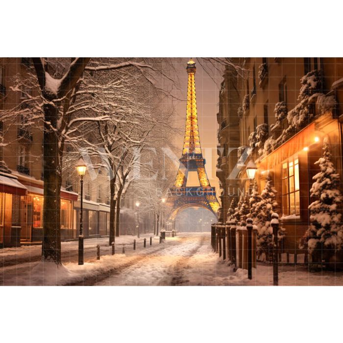Photography Background in Fabric Winter in Paris / Backdrop 4403