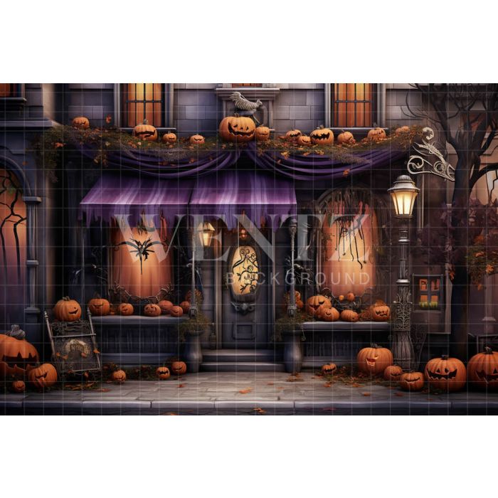 Photography Background in Fabric Halloween Facade / Backdrop 4507