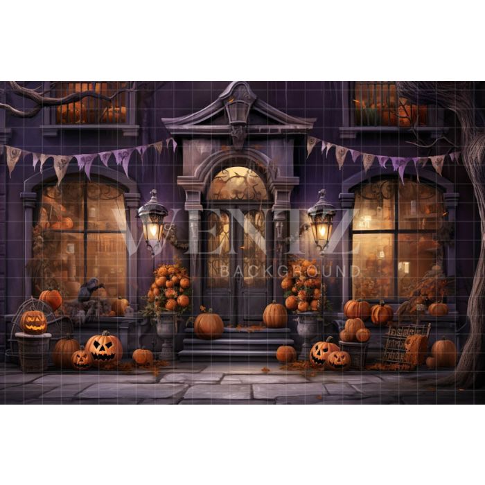 Photography Background in Fabric Halloween Facade / Backdrop 4509