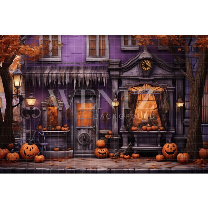 Photography Background in Fabric Halloween Facade / Backdrop 4511