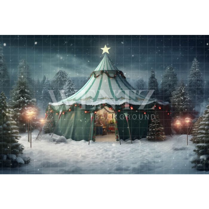 Photography Background in Fabric Christmas Green Tent / Backdrop 4516