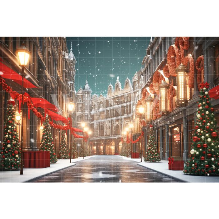 Photography Background in Fabric Christmas Village / Backdrop 4533