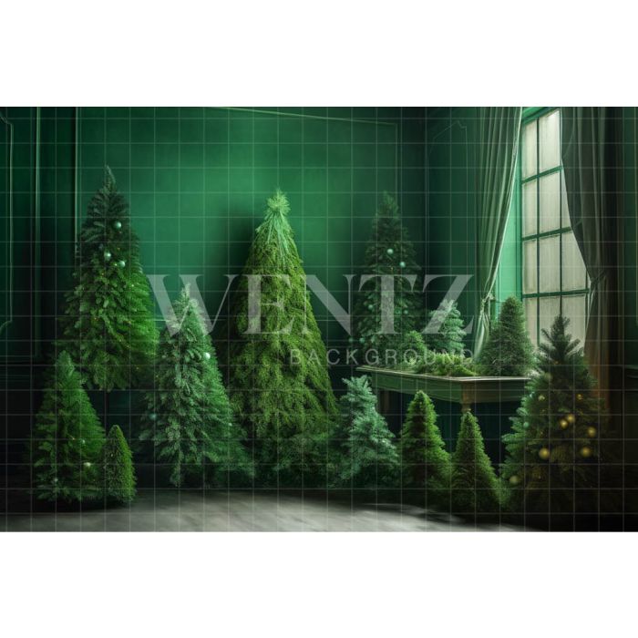 Photography Background in Fabric Christmas Green Room / Backdrop 4567