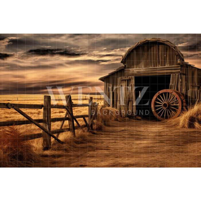 Photography Background in Fabric Barn / Backdrop 4766