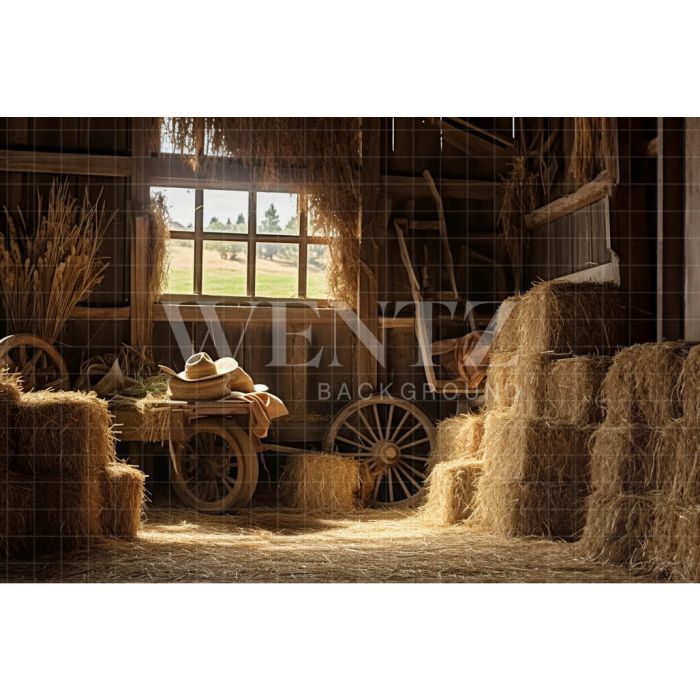 Photography Background in Fabric Barn / Backdrop 4774