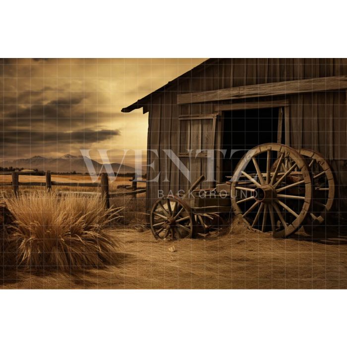 Photography Background in Fabric Barn / Backdrop 4780