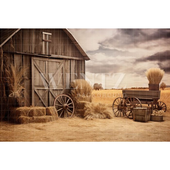 Photography Background in Fabric Barn / Backdrop 4788