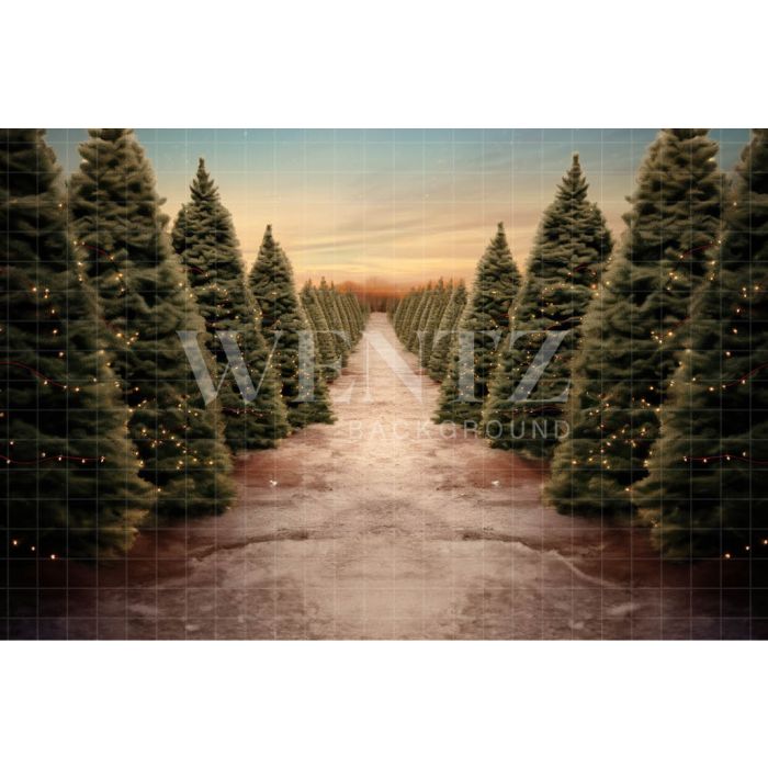 Photographic Background in Fabric Christmas Fir Trees / Backdrop 5057