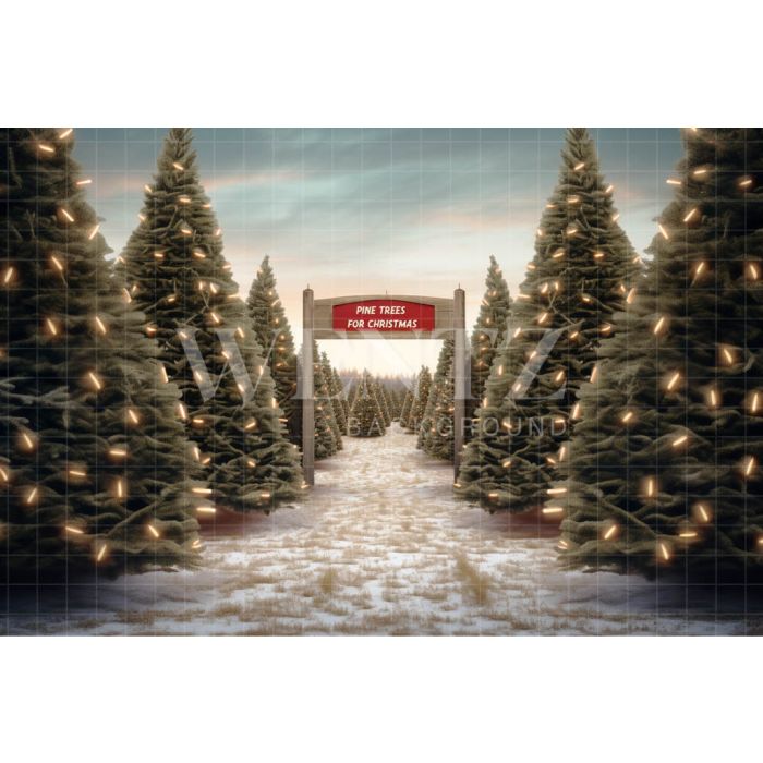 Photographic Background in Fabric Christmas Fir Trees / Backdrop 5058