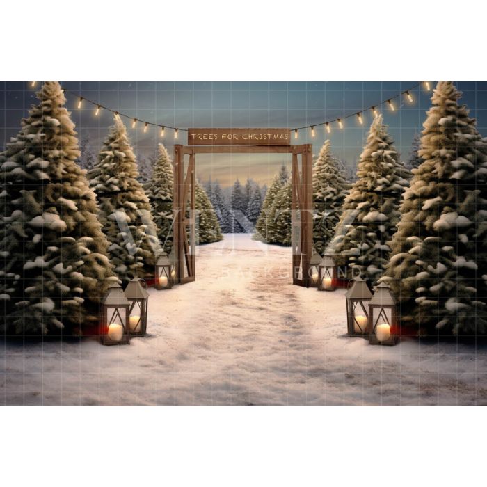 Photographic Background in Fabric Christmas Fir Trees / Backdrop 5059