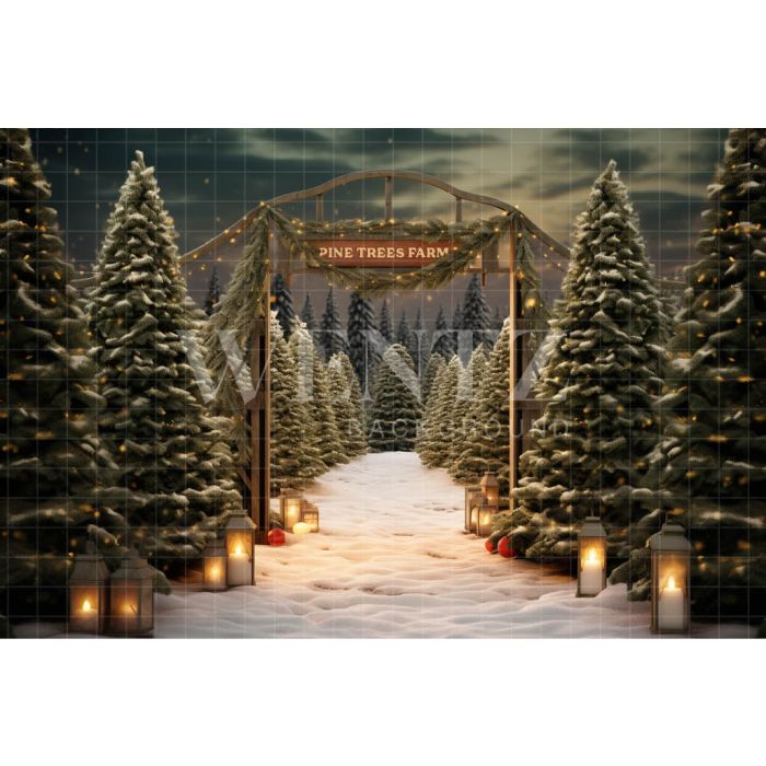 Photographic Background in Fabric Christmas Fir Trees / Backdrop 5060