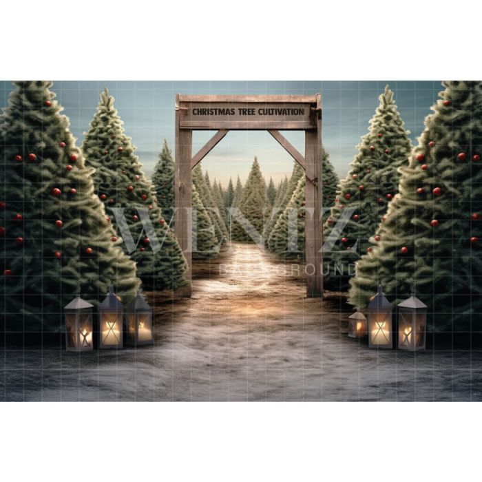 Photographic Background in Fabric Pine Tree Farm / Backdrop 5062