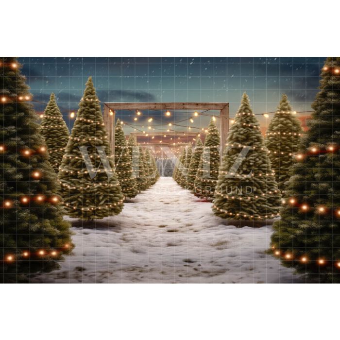 Photographic Background in Fabric Pine Tree Cultivation / Backdrop 5068