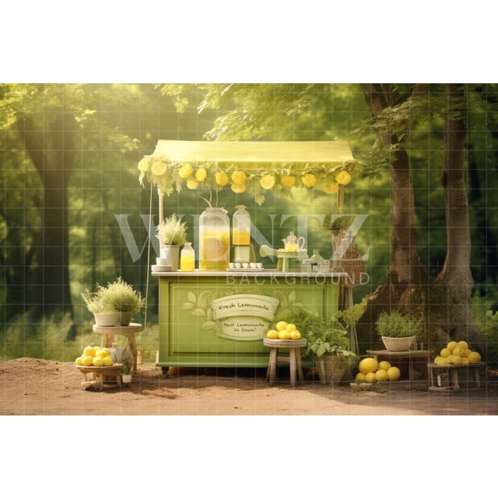 Photographic Background in Fabric Lemonade Stand / Backdrop 5120