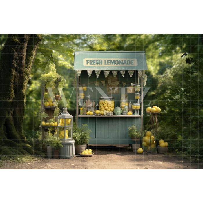Photographic Background in Fabric Lemonade Stand / Backdrop 5121