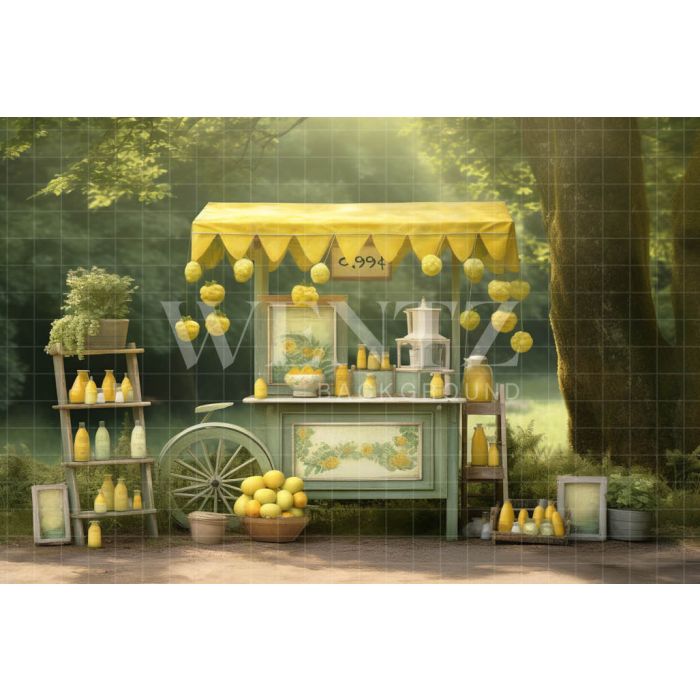 Photographic Background in Fabric Lemonade Stand / Backdrop 5122