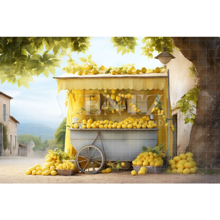 Photographic Background in Fabric Lemon Stand / Backdrop 5123