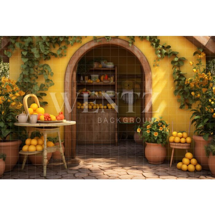 Photographic Background in Fabric Summer Set with Fruits / Backdrop 5124