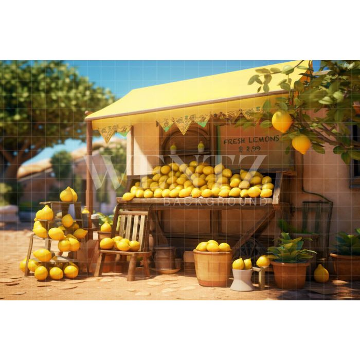 Photographic Background in Fabric Lemonade Stand / Backdrop 5134