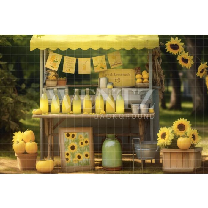 Photographic Background in Fabric Lemonade Stand / Backdrop 5145