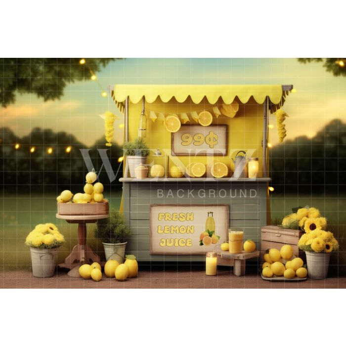Photographic Background in Fabric Lemonade Stand / Backdrop 5149