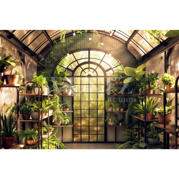 Photography Background in Fabric Flower Greenhouse / Backdrop 5897