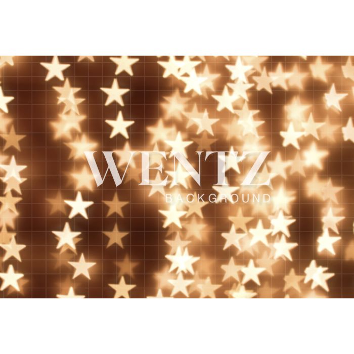 Photography Background in Fabric Christmas / Backdrop 892